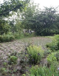 ������ ������ ���� 1