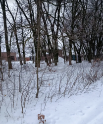 ������ �������� ������ �� ������� �������� ���� 3