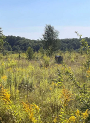 ĳ����� ���� � ��������� ���� 5