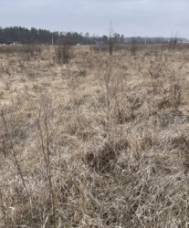 ������ �������� ������ �� ������� ��������, ����� 8 ����� ( ����������� ����������) ���� 3