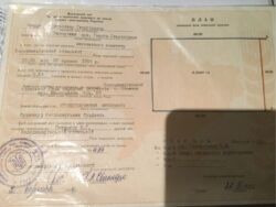 Найкраща ділянка на Соняному, Бородинський фото 5 Найкраща ділянка на Соняному, Бородинський фото 5