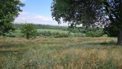 Продаж ідеальної ділянки у співпраці з АН Капітал фото 12 Продаж ідеальної ділянки у співпраці з АН Капітал фото 12