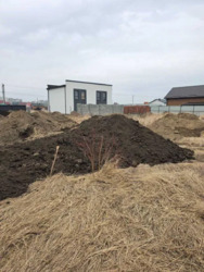 ��������� ������ ������� ����, ���� ������, ��������������, �������, ������������ ���� 2