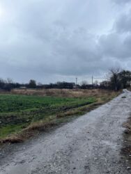 Продається ділянка Дніпропетровська, Кам'янське, Кам'янське, Елизаветовка фото 1 Продається ділянка Дніпропетровська, Кам'янське, Кам'янське, Елизаветовка фото 1