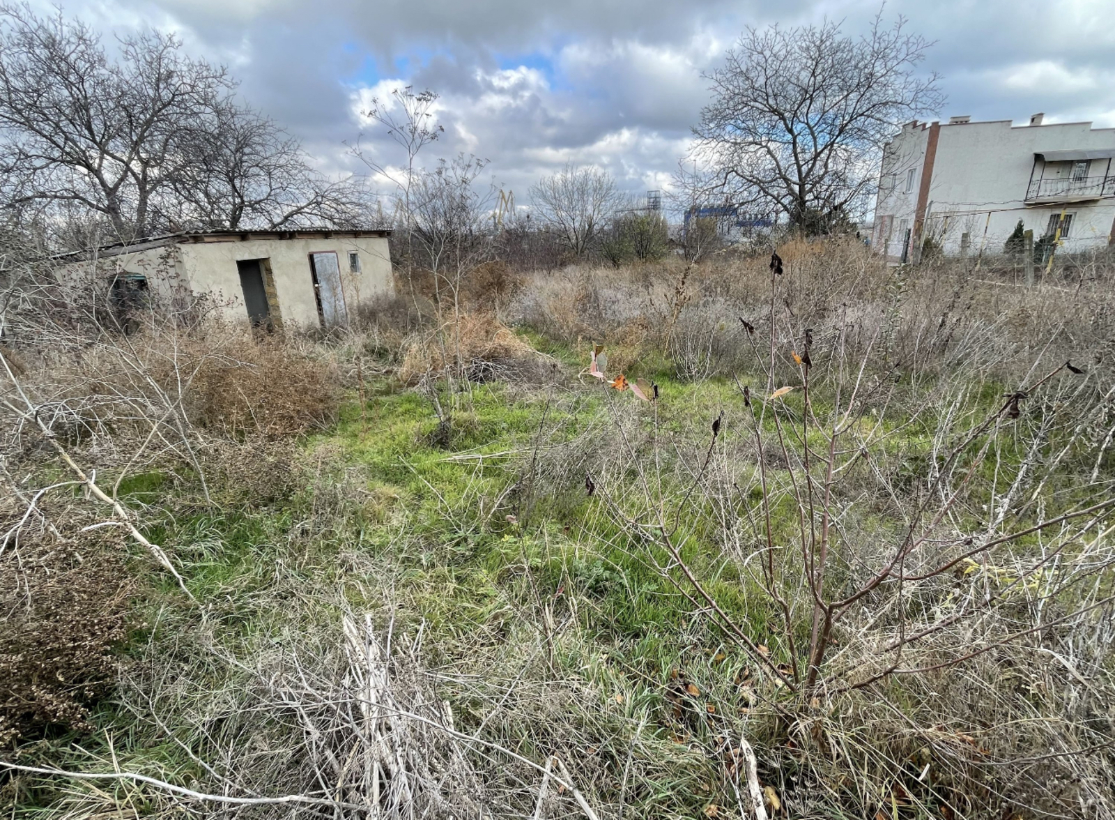 ������� � ������������� ���� 1