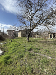 ���� �� ����� ���� 6