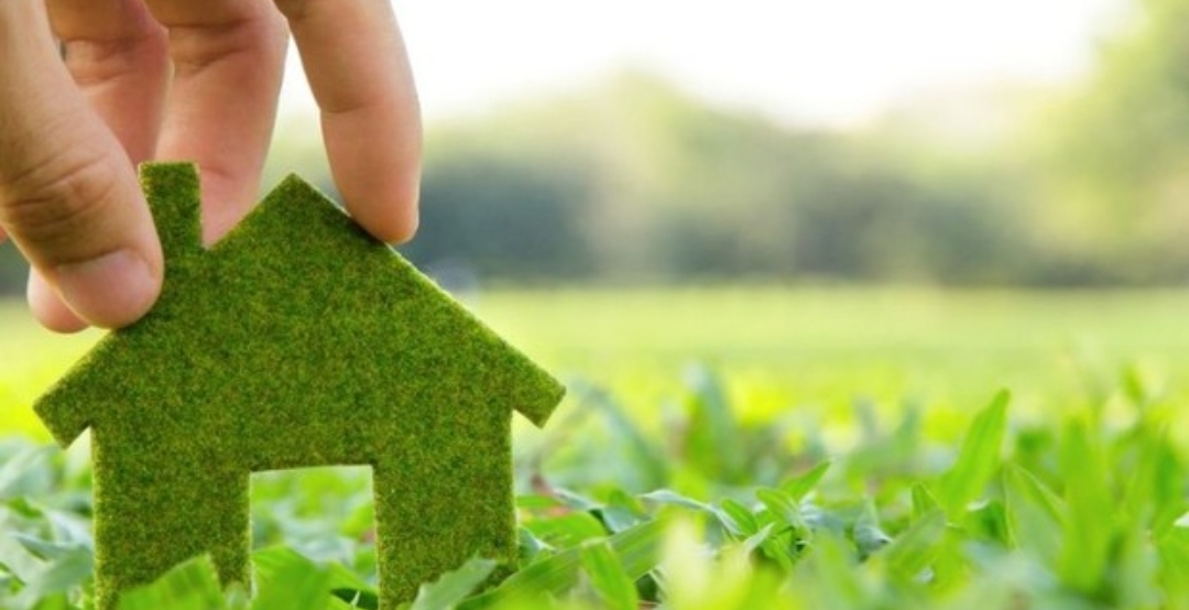 Продам участок в хорошем месте. Волна. фото 1 Продам участок в хорошем месте. Волна. фото 1