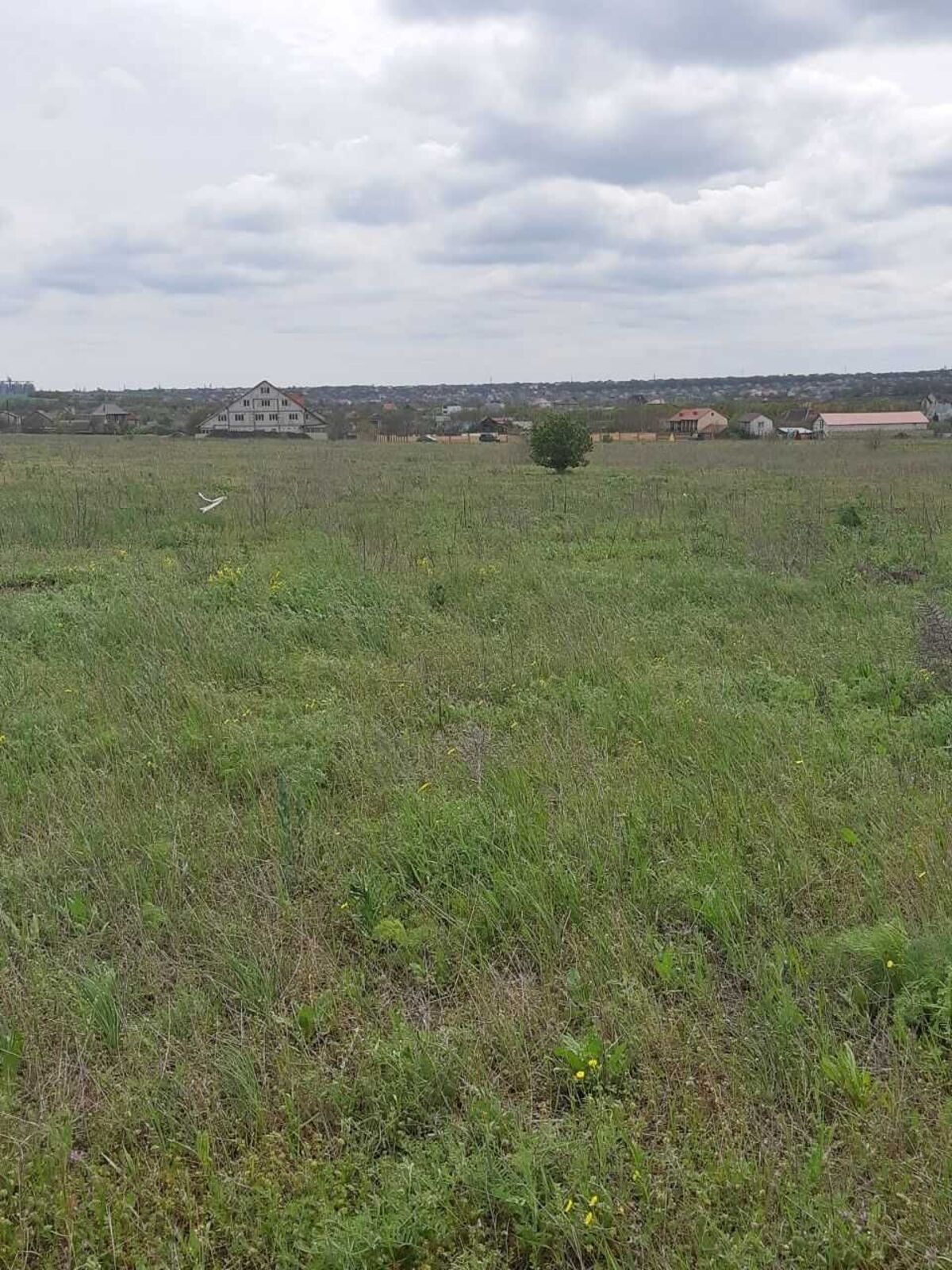 ĳ����� ��� ���� ���� 1