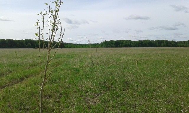 ������� �� ��������, 2� ������, 6� ����� ���� 1