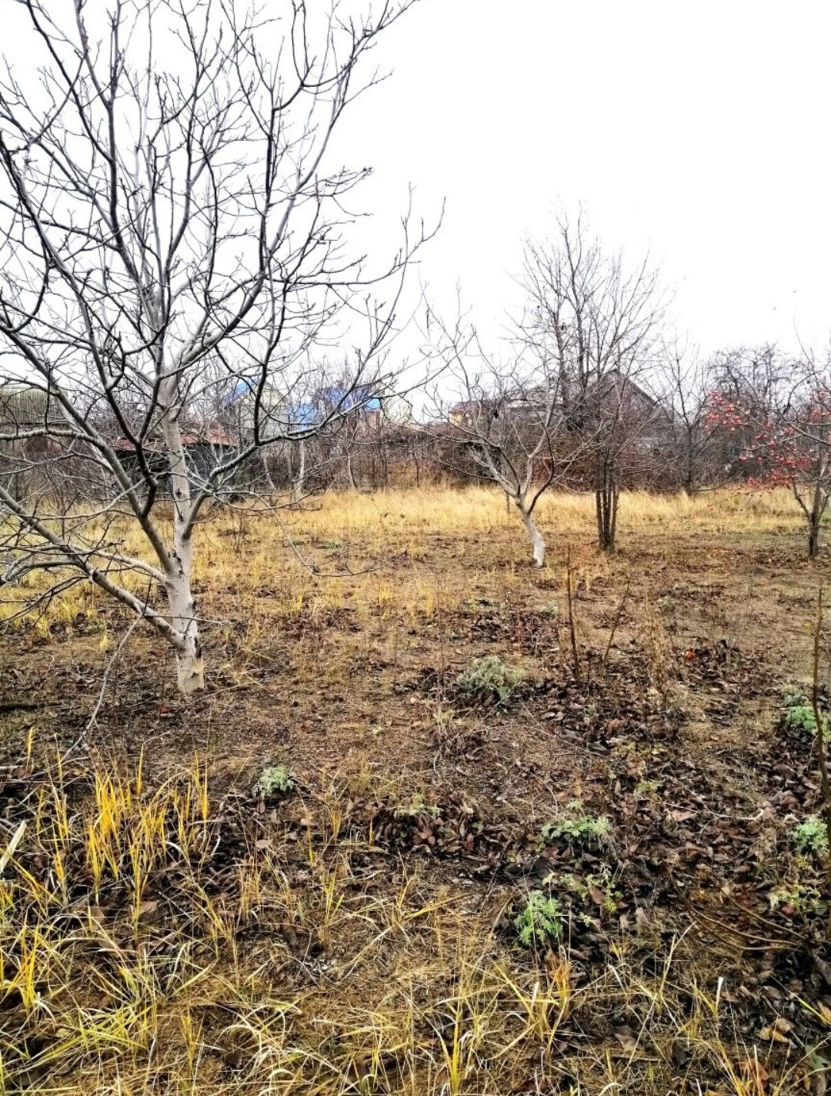 ������� � ���� ��� �������, 6 ���. ���� 1