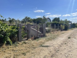 Участок в СО Приморский фото 3 Участок в СО Приморский фото 3