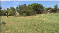 ������ ������� 20 ����� ���� 8