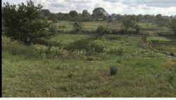 ������ ������� 20 ����� ���� 4