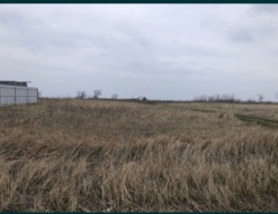 ������ ������ ��� ���� ���� 2