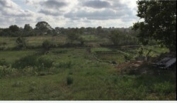 ������ ������� 20 ����� ���� 3