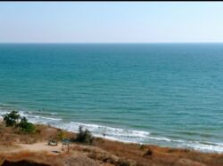 ������ ��������� ������� � ������ ������� �� ������ ����-�.����������! ���� 8