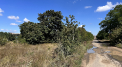 ����� 10 ����� ����� ������ ���� 2