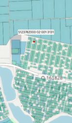 ĳ����� ��� ���� ���� 4