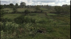 ������ ������� 20 ����� ���� 6