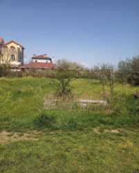 Участок СОГ Ветеран фото 2 Участок СОГ Ветеран фото 2