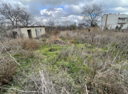 ������� � ������������� ���� 1