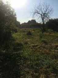 ������ ������� ������ ���� ���� 2