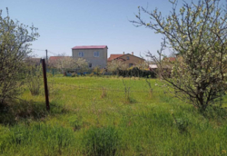 Участок СОГ Ветеран фото 6 Участок СОГ Ветеран фото 6