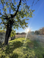 Продам участок на Ветеране фото 3 Продам участок на Ветеране фото 3