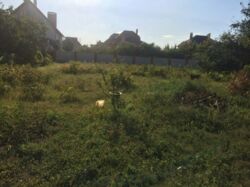 ������ ������� ������ ���� ���� 1