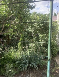 ĳ����� ��� ������������ ���� 3