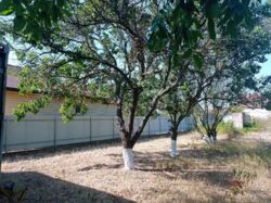 ������ ��������� ������� � ������ ������� �� ������ ����-�.����������! ���� 5