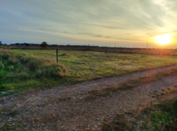 Продається ділянка Одеська, Чорноморськ, Нове Бугово, Кленова фото 4 Продається ділянка Одеська, Чорноморськ, Нове Бугово, Кленова фото 4