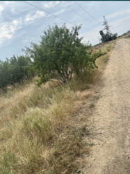 ������ ������ 10 ����� �.�������� ���� 1