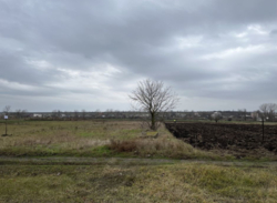 Участок в Барабой фото 1 Участок в Барабой фото 1