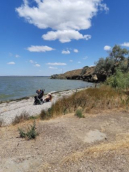 ������� ��� ���������� ���������� ���� 2