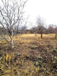 ������� � ���� ��� �������, 6 ���. ���� 1