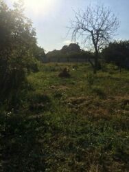 ������ ������� ������ ���� ���� 3