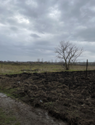 Участок в Барабой фото 2 Участок в Барабой фото 2