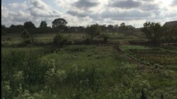 ������ ������� 20 ����� ���� 9