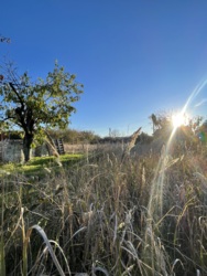 Продам участок на Ветеране фото 2 Продам участок на Ветеране фото 2