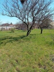 ������ ��������� ������� � ������ ������� �� ������ ����-�.����������! ���� 6