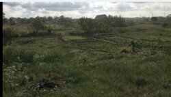 ������ ������� 20 ����� ���� 7