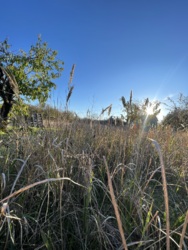 Продам участок на Ветеране фото 1 Продам участок на Ветеране фото 1