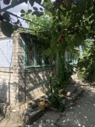 ĳ����� ��� ������������ ���� 1