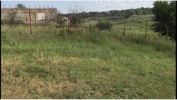 ������ ������� 20 ����� ���� 5