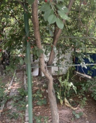 ĳ����� ��� ������������ ���� 6