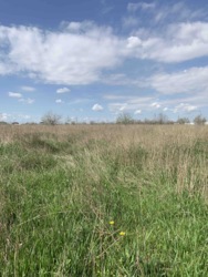 ��������� ������ �������, �����������, ��������, �������� ���� 1