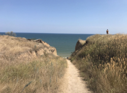 Земельный участок в Санжейке фото 2 Земельный участок в Санжейке фото 2