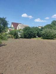 ��������� ������ 20 �����, ������� ������, �������, ����� ���� 5