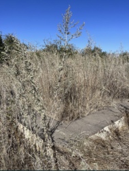 ĳ����� ��� ������������ ���� 2